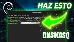 Configurar en Debian 11 DHCP y DNS con DNSMASQ