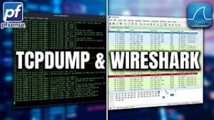 Capturar Paquetes de Datos | DEMO | Curso de pfSense Básico